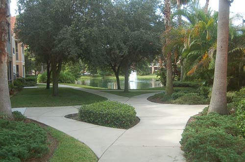 Walkway to Lake